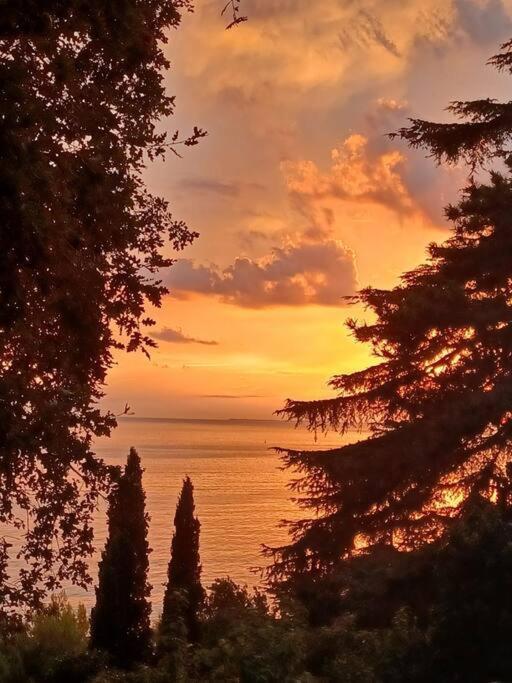 Brezza Marina - Appartamento In Villa Fronte Mare Trieste Eksteriør billede