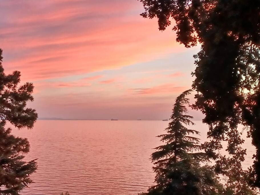 Brezza Marina - Appartamento In Villa Fronte Mare Trieste Eksteriør billede