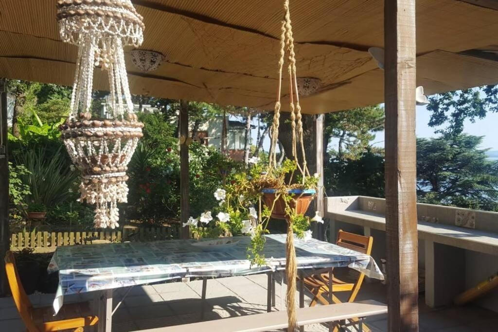 Brezza Marina - Appartamento In Villa Fronte Mare Trieste Eksteriør billede